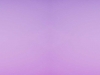 155533877