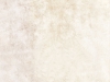 10095028