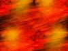 155790146