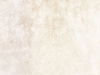 10095028